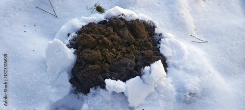 Maulwurfshügel im Schnee