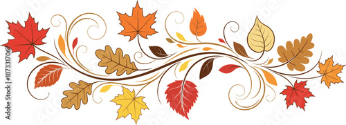 Autumn fall leaves swirling, fall foliage design, colorful autumn leaves, swirling vines, seasonal fall decor, autumn vector illustration, nature autumn leaves, fall decoration, colorful leaf pattern