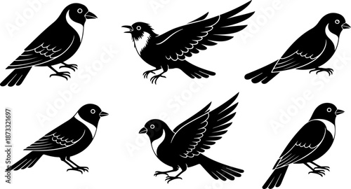 Love Birds Silhouette Bundle – Romantic Bird Vector Clipart