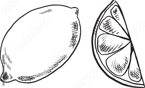 Whole lemon and lemon, sliced. Lemon vector graphics with textured peel.