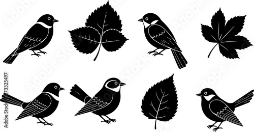 Romantic Love Birds Silhouette Collection on Tree Branch