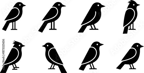 Romantic Love Birds Silhouette Collection on Tree Branch