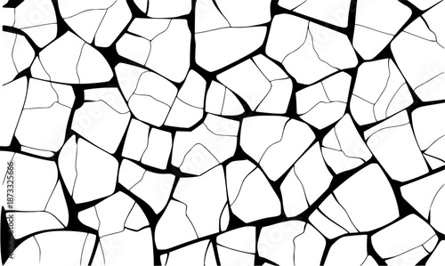 Black and white abstract pattern of irregular polygonal shapes with thin black outlines texture
