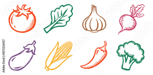 Collection of hand drawn vegetable including tomato eggplant corn chili pepper broccoli garlic lettuce and beet