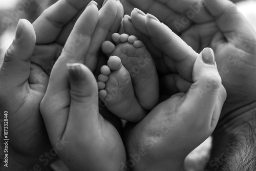 Newborn Baby Feet Cradled in Parents’ Hands, Black and White