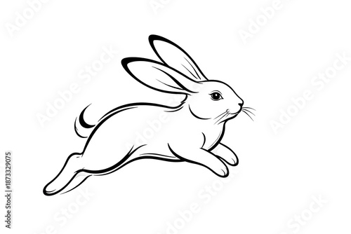 vector illustration of a rabbit