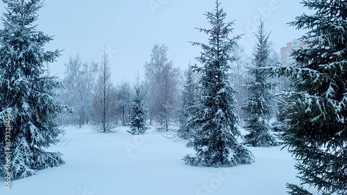 snow covered trees