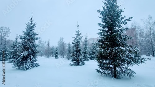 snow covered trees