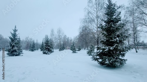 snow covered trees
