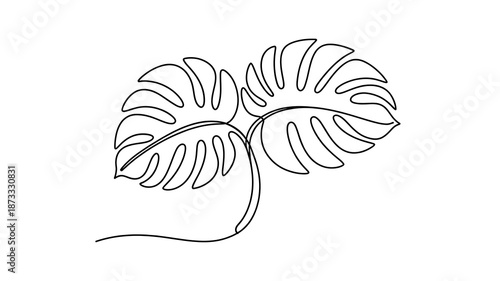 Connected Monstera Leaves Continuous Line Art Tropical Plant Illustration