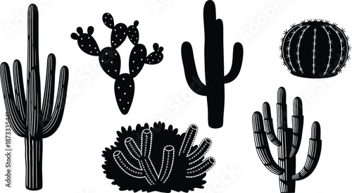 Silhouette vector set of 5 distinct cactus shapes saguaro prickly pear barrel cactus cholla and organ pipe