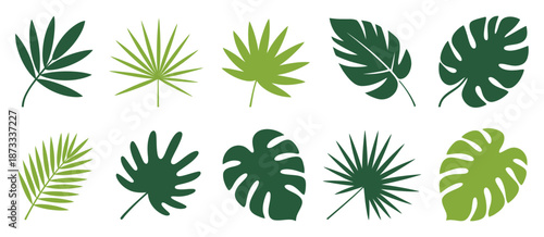 Collection of stylized tropical palm leaves in shades of green a white background leaf nature
