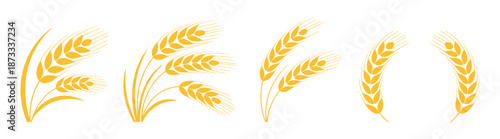 Collection of stylized yellow wheat ears and stalks a white background grain harvest