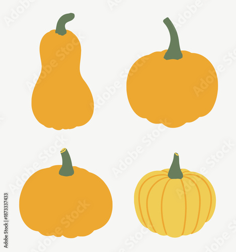 Flat pumpkins and gourds in orange and yellow with green stems white background squash autumn