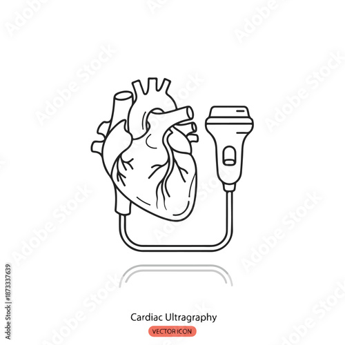 Line drawing of a human heart connected to an ultrasound device on a white background with a medical theme.