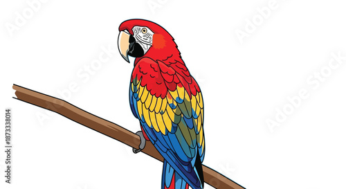 Colorful macaw parrot perched on a brown branch, showcasing its vibrant red, blue.
