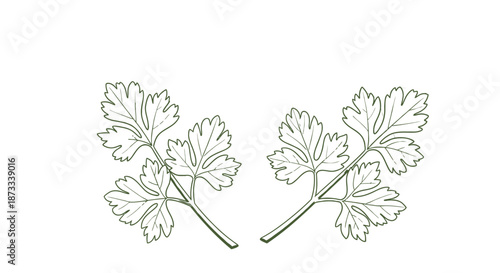 Two sprigs of parsley garnish leaves curve outward on a white surface.
