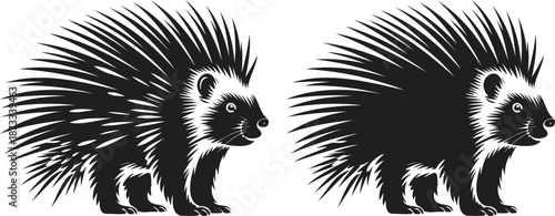 Stylized black and white vector illustration of a porcupine with sharp quills