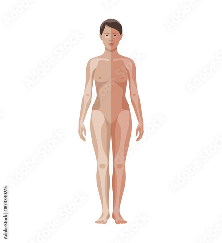 Anatomical illustration of a woman's body showing internal organs and skeletal system