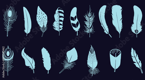 A diverse collection of stylized bird feather silhouettes in light blue on a dark background