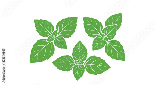 Three bright green basil leaves cluster together forming a central symmetrical.