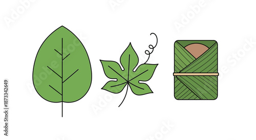 Assorted green leaf shapes next to a small food item wrapped in foliage.