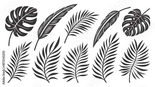 A collection of various tropical leaves depicted in a striking black and white design silhouette