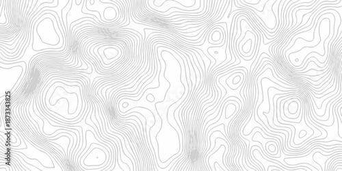 Abstract topography pattern seamless lines sea map modern design white background. Abstract digital topographic contour map concept space geometric strip grid line. Natural discovery of maps.