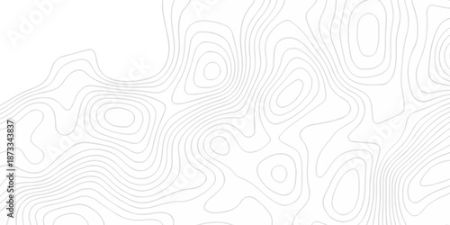 Abstract topography pattern seamless lines sea map modern design white background. Abstract digital topographic contour map concept space geometric strip grid line. Natural discovery of maps.