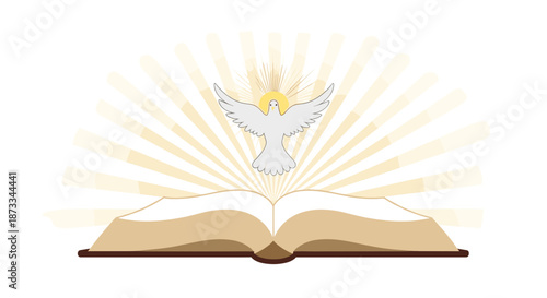 A dove emerges from an open book with radiant light on transparent background