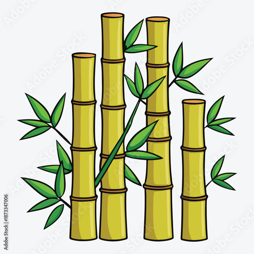 Bamboo plant illustration on white background
