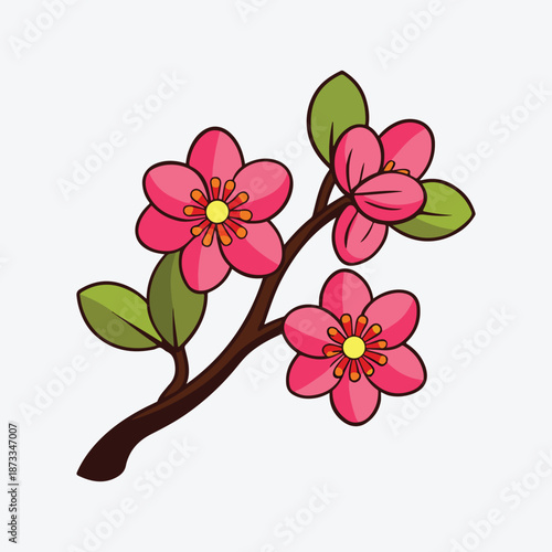 Pink orchid flower on white and green background illustration