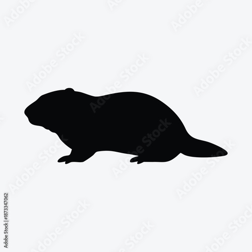 Black bear lion and wolf silhouette vector illustration of wild animals