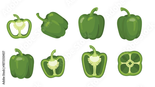 A comprehensive collection of green bell pepper illustrations, showcasing whole peppers from different angles and cross-sections revealing their internal structure.