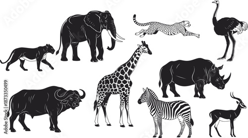 A collection of various african wildlife animals in black and white