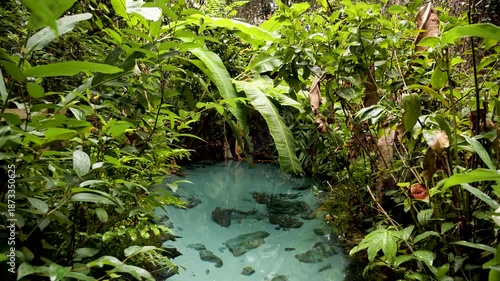 Turquoise lagoon. Fervedouro do Ceica, river source that is a tourist attraction in the Jalapao region. High quality 4k footage