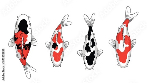 Set of Colorful Japanese Koi Fish Illustrations, Top View Vector Collection