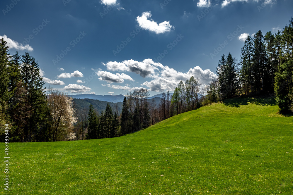 Fototapeta premium Rural Summer Landscape With Forest And Green Pastures In Austria