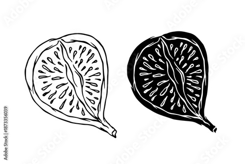 Line sketch, silhouette of figs and fruit pieces. Vector graphics.