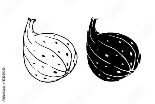 Line sketch, silhouette of figs and fruit pieces. Vector graphics.