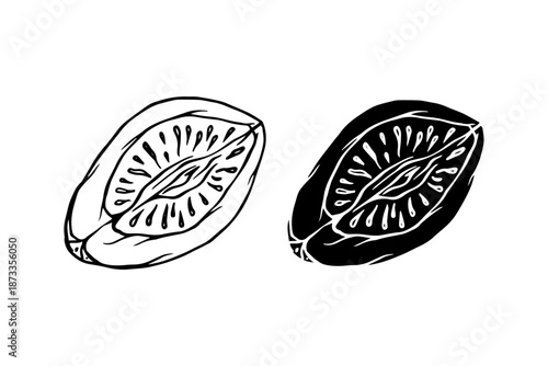 Line sketch, silhouette of figs and fruit pieces. Vector graphics.