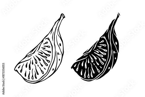 Line sketch, silhouette of figs and fruit pieces. Vector graphics.