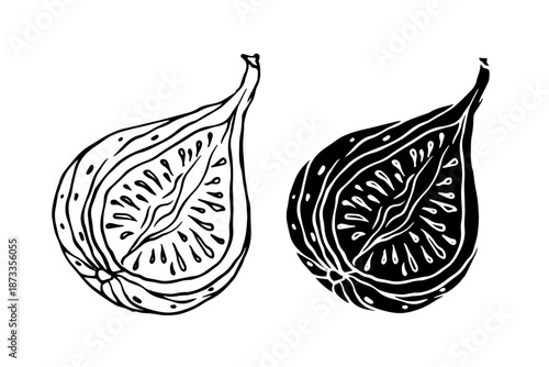 Line sketch, silhouette of figs and fruit pieces. Vector graphics.