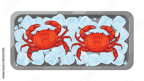 Two vibrant red crabs presented on a refreshing bed of clear ice cubes within a rectangular metal tray, ready for serving.