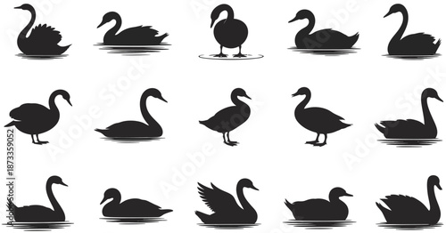 Elegant silhouette vector icon set featuring swans and ducks for nature themed designs, wildlife illustrations, logos, posters, branding, education, and creative graphic projects