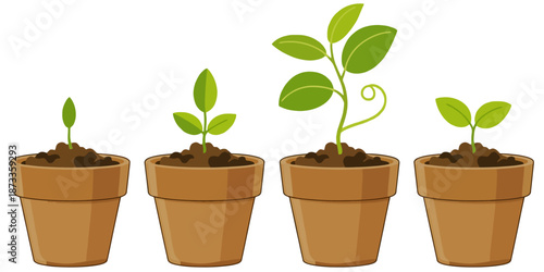 Terracotta pots showing plant growth stages from seedling to plant sprout