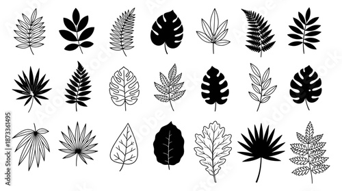 Large diverse collection of tropical leaves including monstera and fern in silhouette and hand-drawn line art styles for posters, branding, invitations, patterns, packaging, and creative design projec