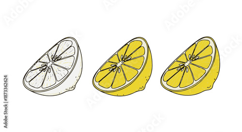 A colorful illustration of lemon slices in different stages of ripeness and color