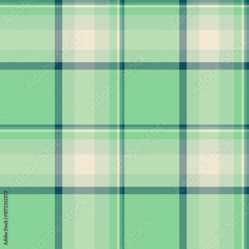 Ethnicity check plaid fabric, expensive tartan textile vector. Greeting background pattern seamless texture in light and green colors.