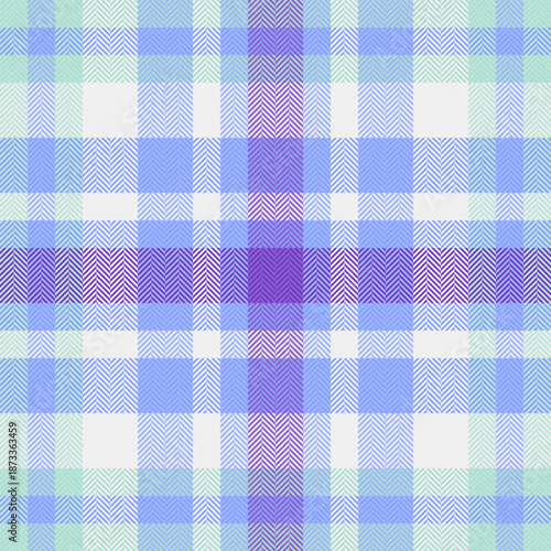 Native pattern check fabric, equal texture background plaid. Mature vector tartan textile seamless in blue and white colors.